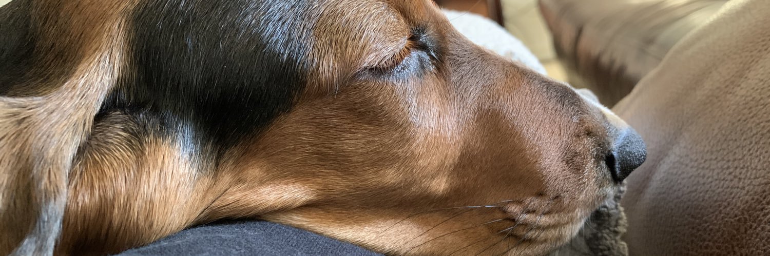 bitchitt's profile banner image
