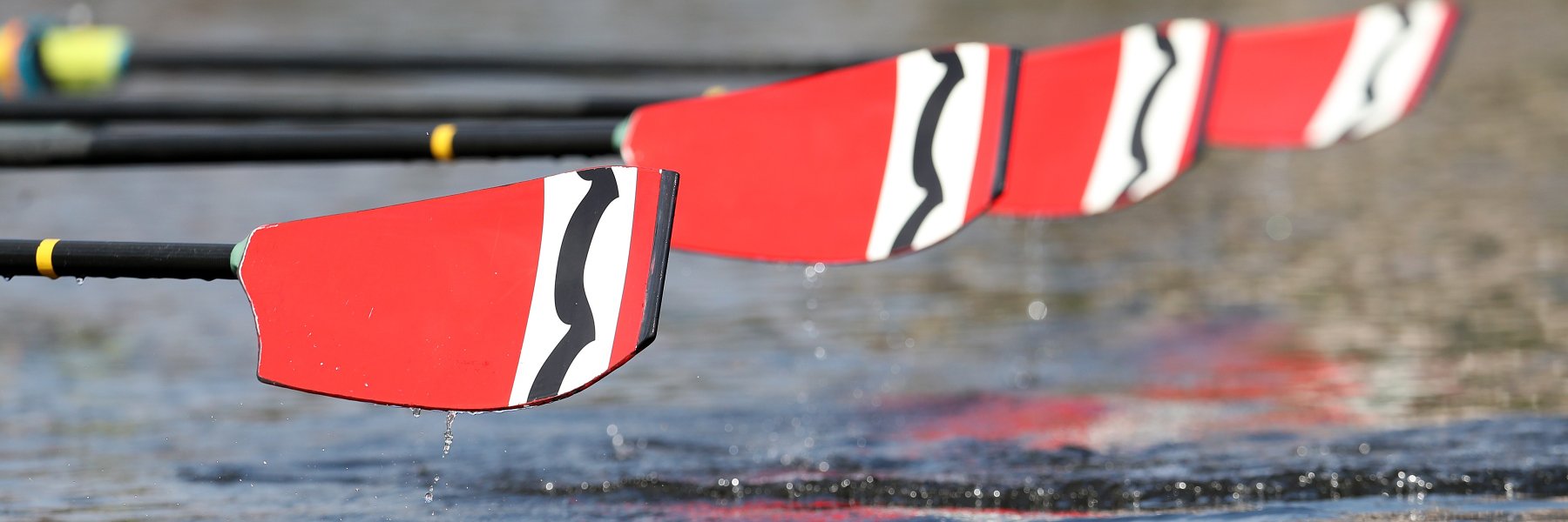 Community Rowing Inc banner