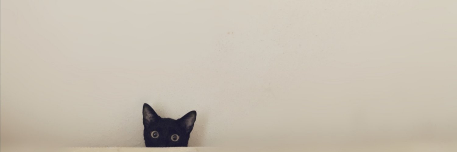 fmonsty's profile banner image
