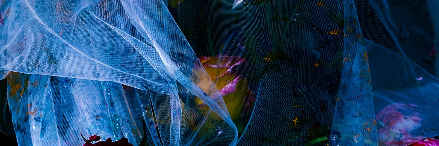 Zoe Louise's banner