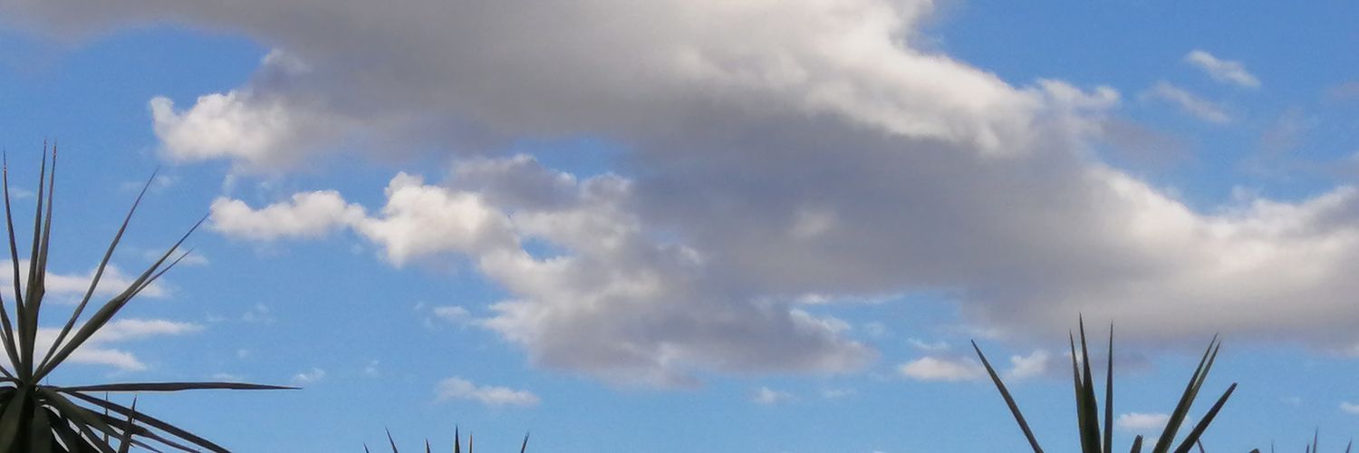 ilrtvl's profile banner image