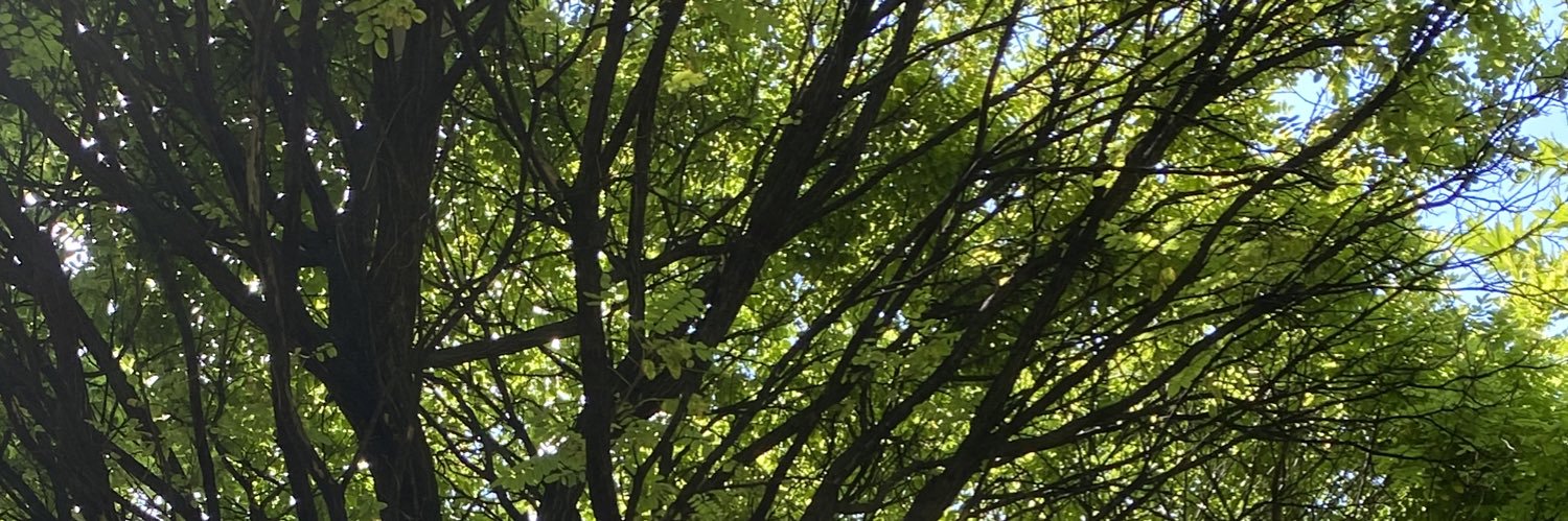 HKaya81's profile banner image