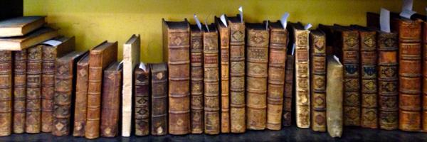 MaggsBros Profile Banner