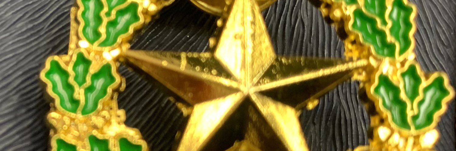 MarySolmer's profile banner image