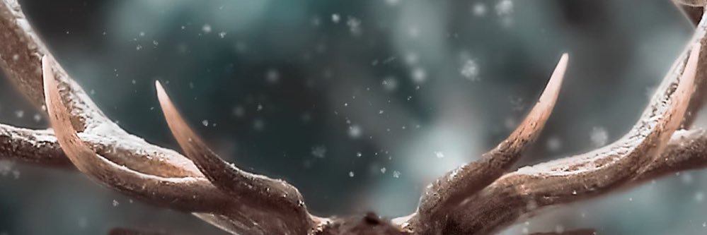 whatevr_'s profile banner image
