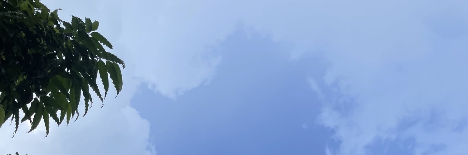 LalitMehra10's profile banner image