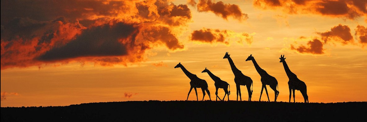 AfrikaNL's profile banner image