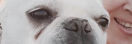 blueberry14531's profile banner image