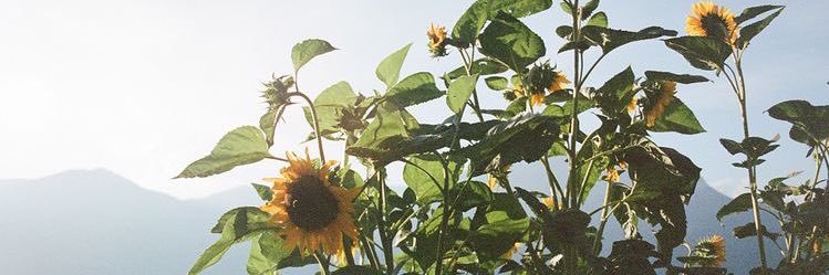 KhyXPrecious's profile banner image