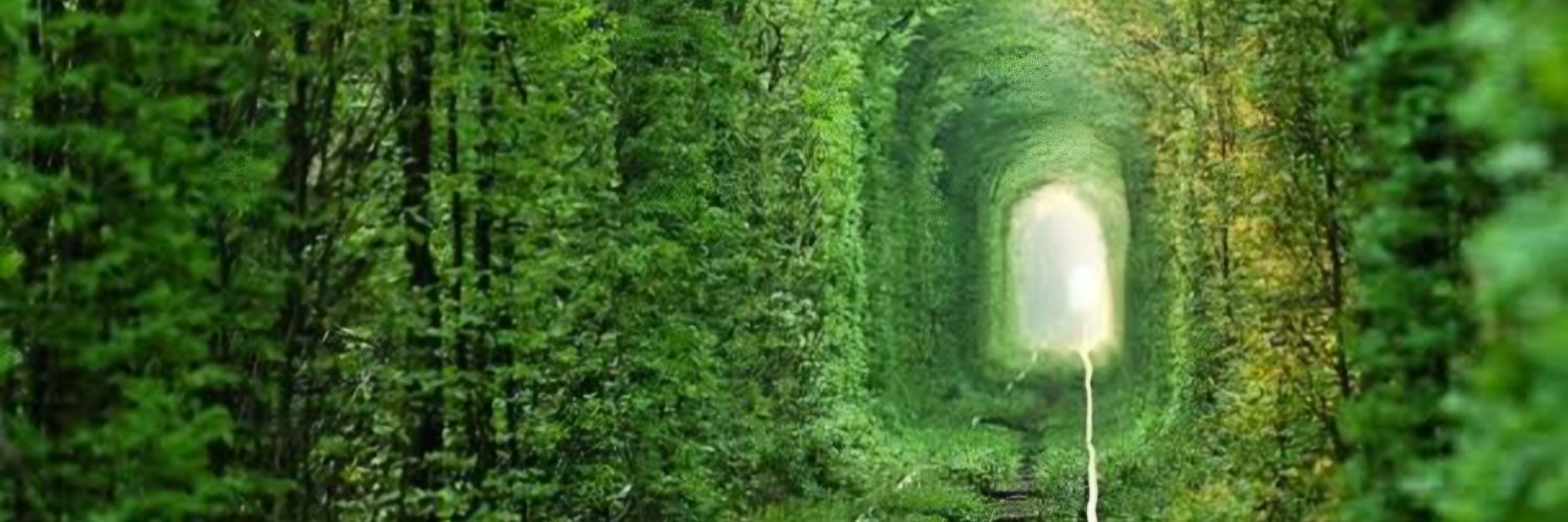 clavedosul's profile banner image