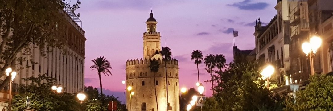 🌸 Birgit's banner