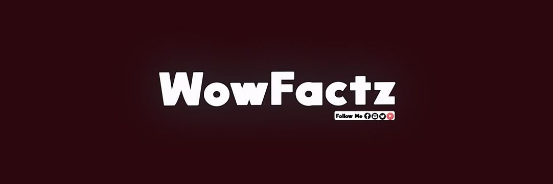 WowFactz banner