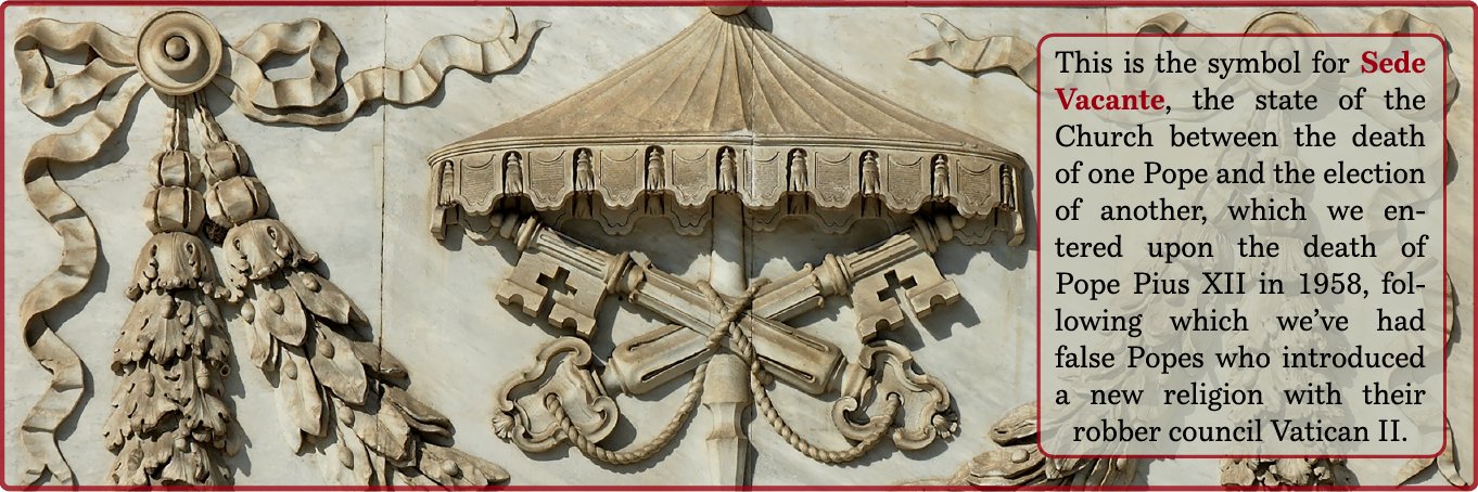Dominic Savio Braganza's banner