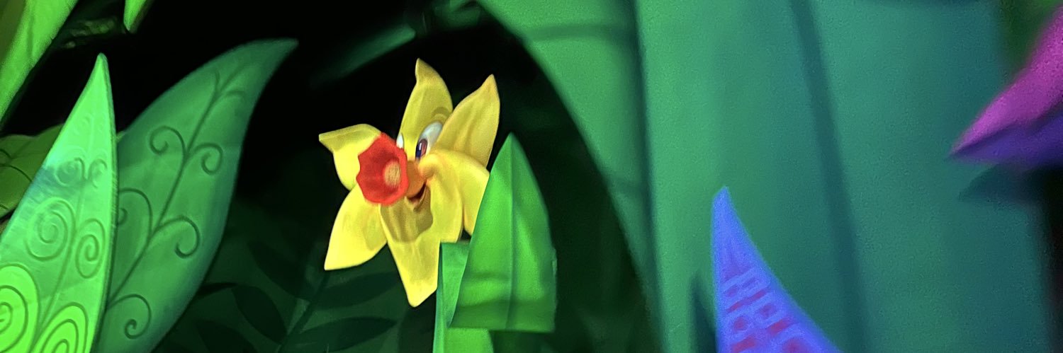 IMAGE REBEL banner