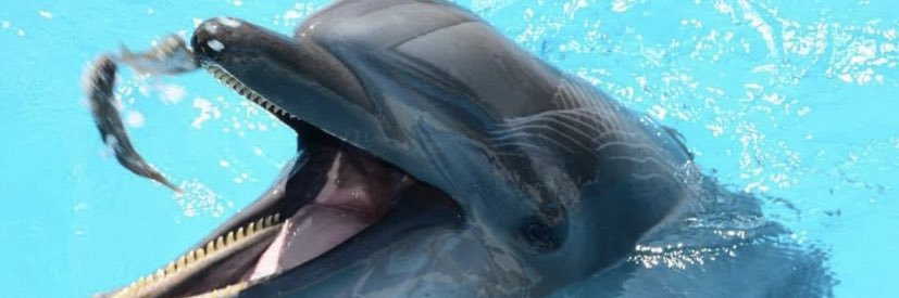 kkskals's profile banner image