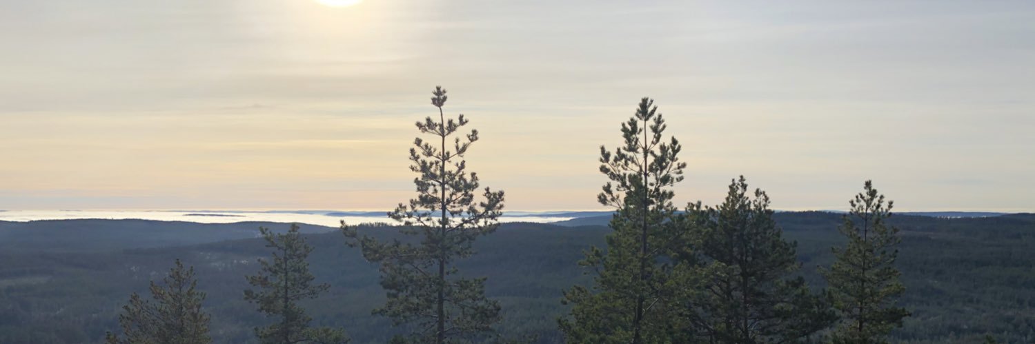 NQvarnstrm's profile banner image