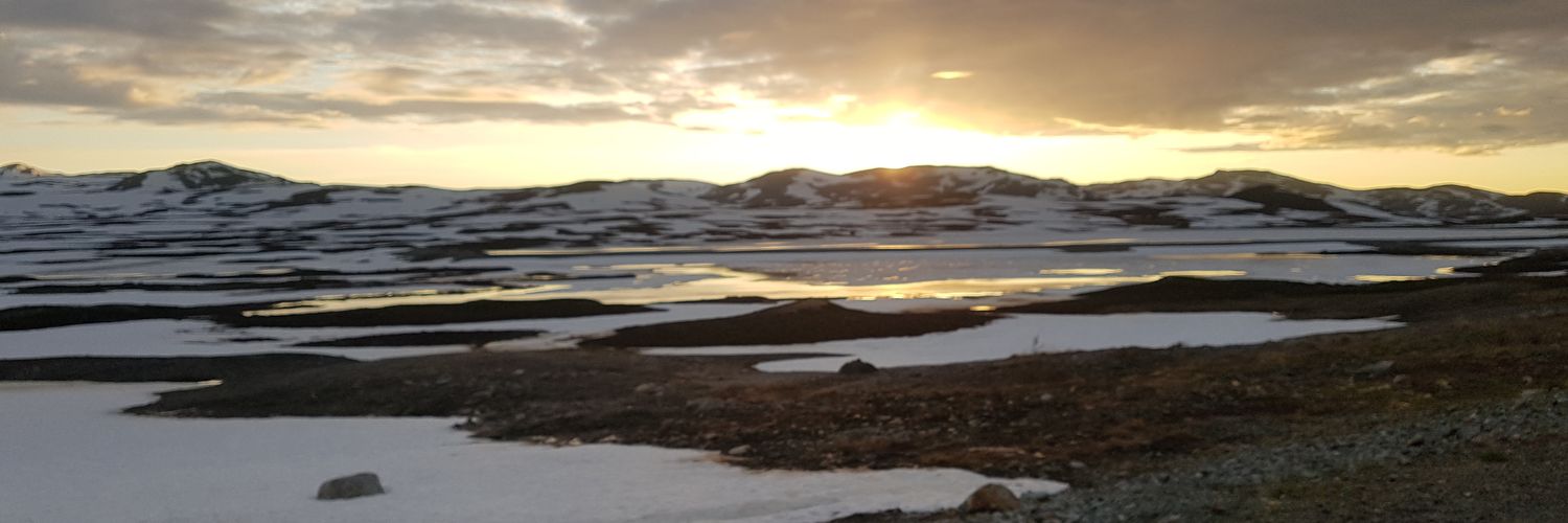 Freever🇸🇪 banner