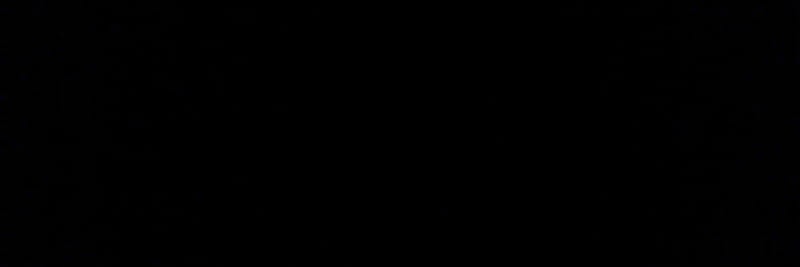 Whatever Oasis Tribute banner