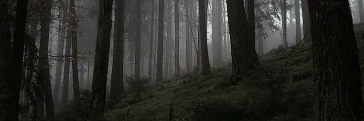 𝑴𝒓.𝑨𝒏𝒊𝒔 banner