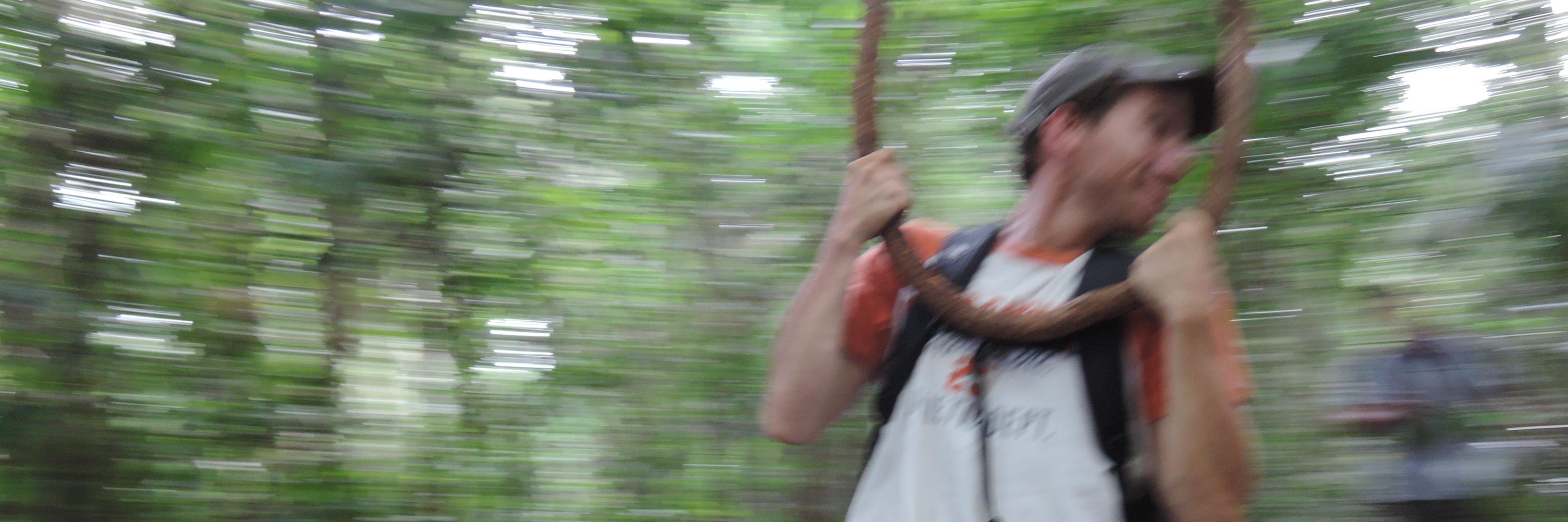 tripiteasy's profile banner image