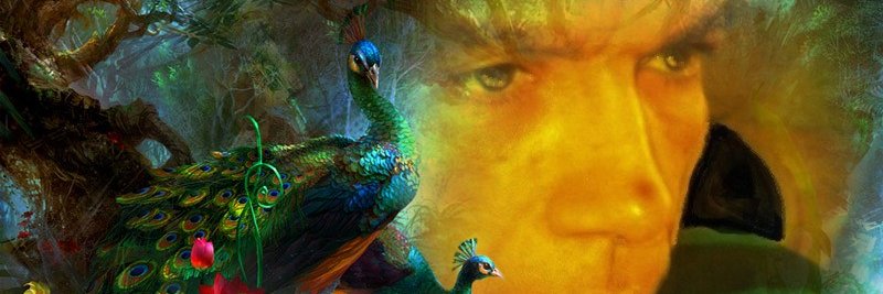 GVincy's profile banner image