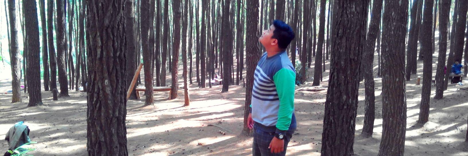 Anzsetyawan's profile banner image