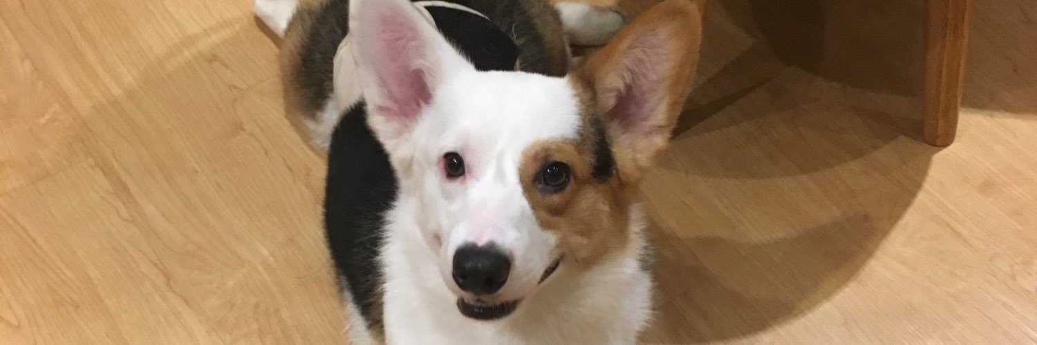 Bagass21's profile banner image