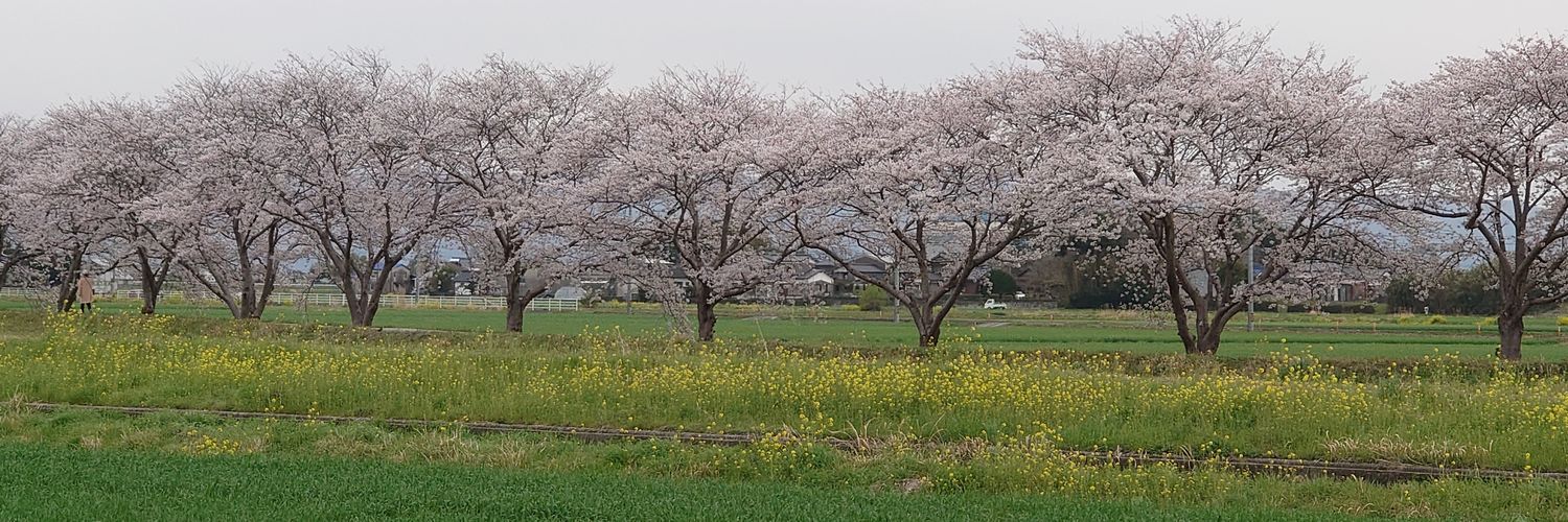 otoka1005's profile banner image