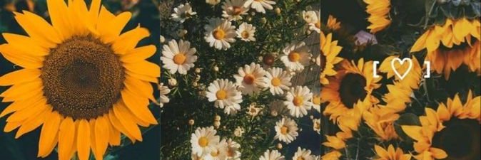 EmanEH97's profile banner image