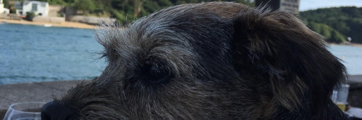 Ginny banner