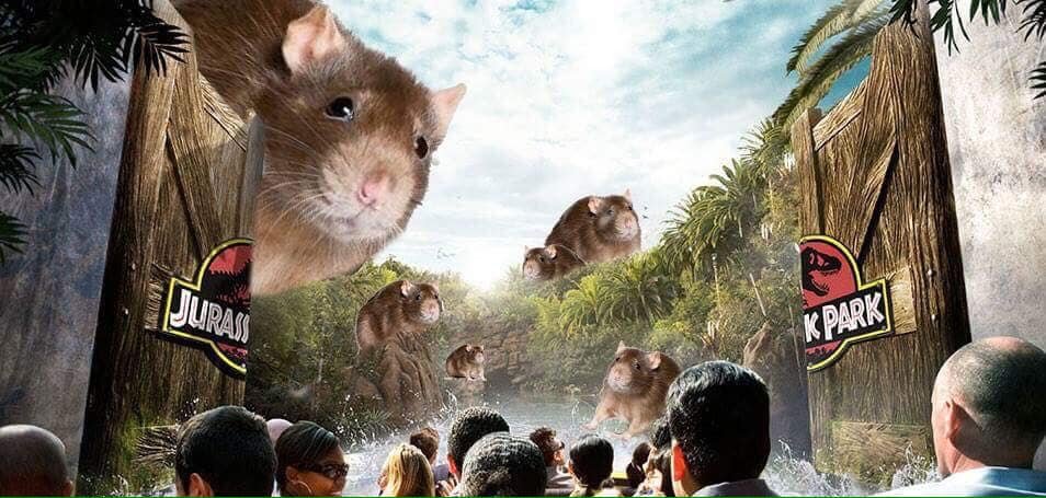 23actualsnails's profile banner image