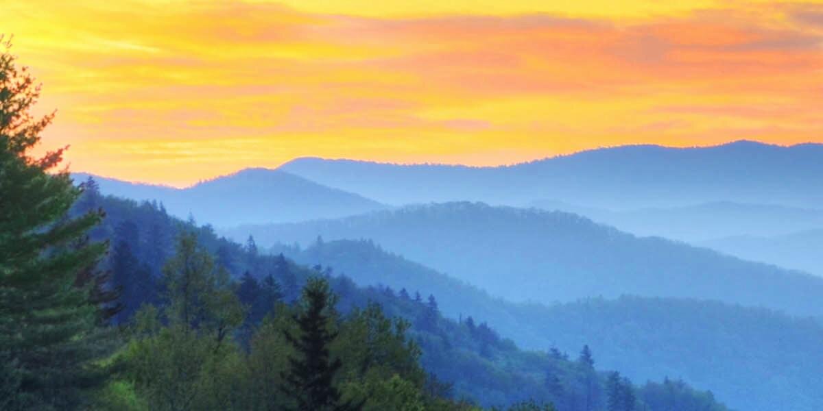 KnoxREIA's profile banner image