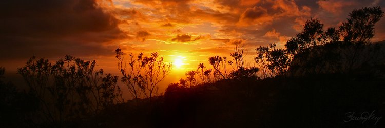 wiwidputri1's profile banner image