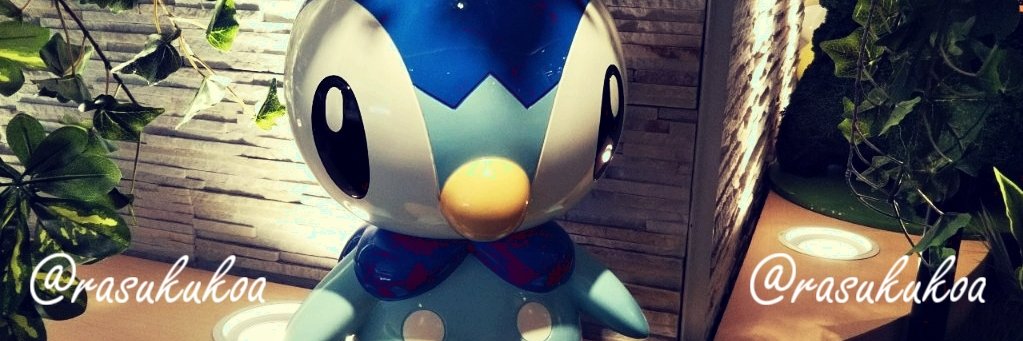 rasukukoa's profile banner image