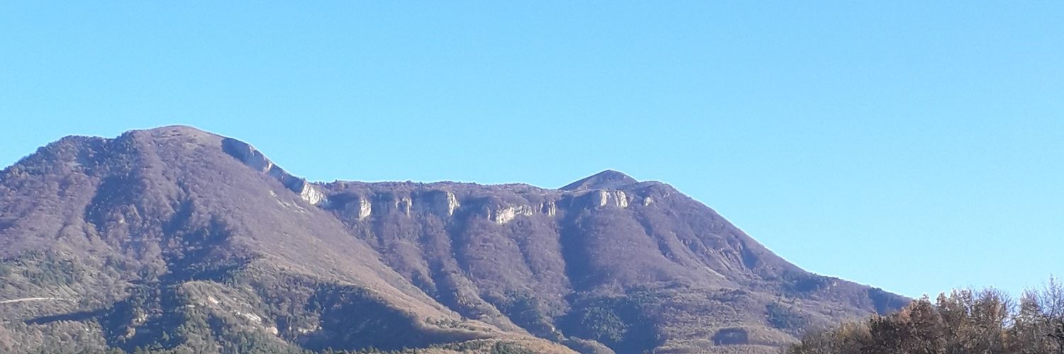 Catillon Pierre banner