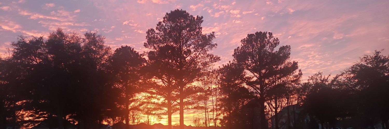 Amir C banner