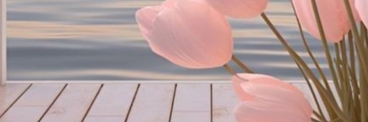 xllho23's profile banner image