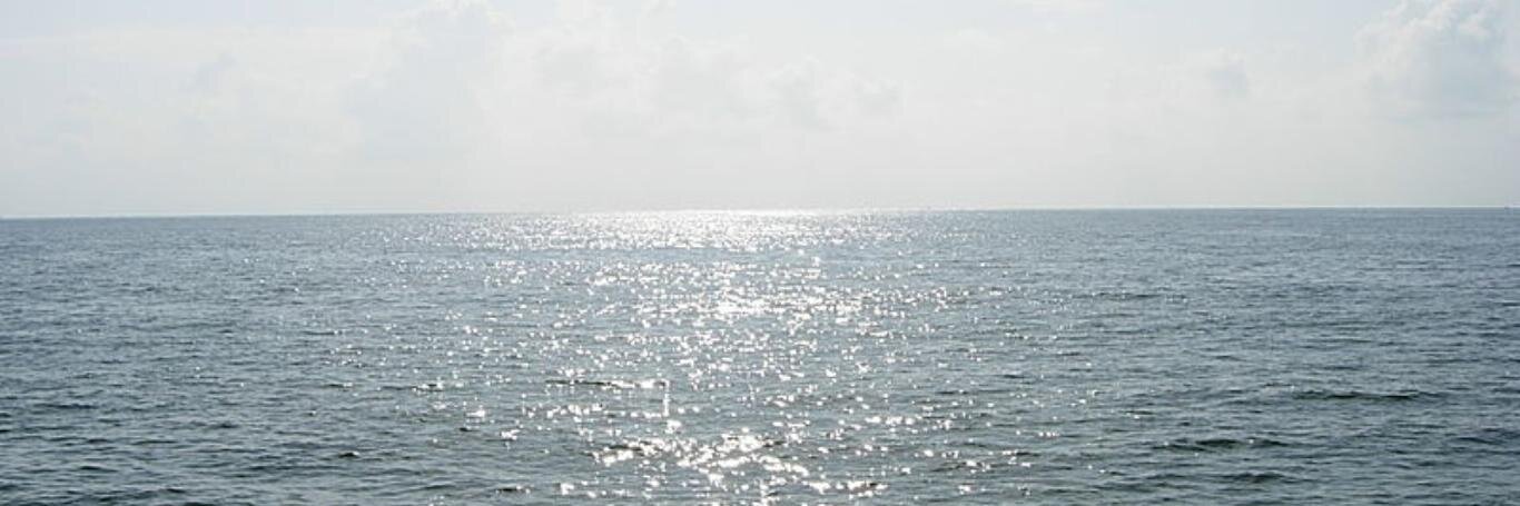mohanlavi's profile banner image