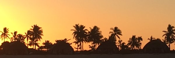 SuzanneCHopf Profile Banner