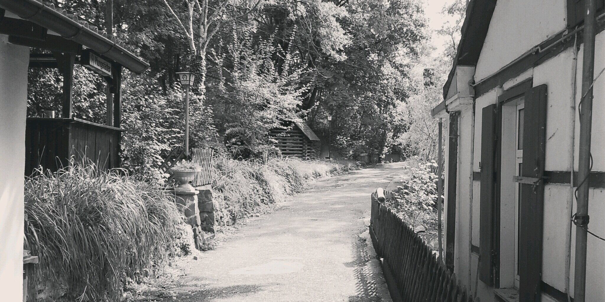 SV_Edelweiss's profile banner image