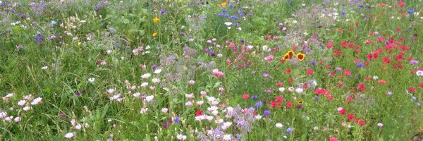 RGS_News Profile Banner