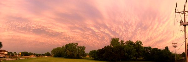ReedBryant10 Profile Banner