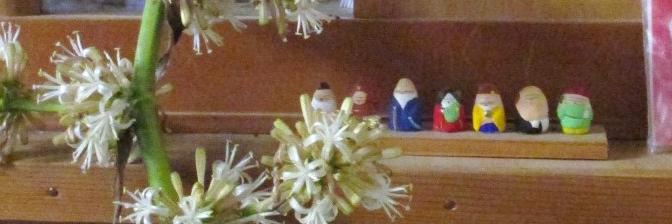 高校クラブ（スポーツ系） banner