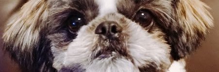 _cassis2's profile banner image