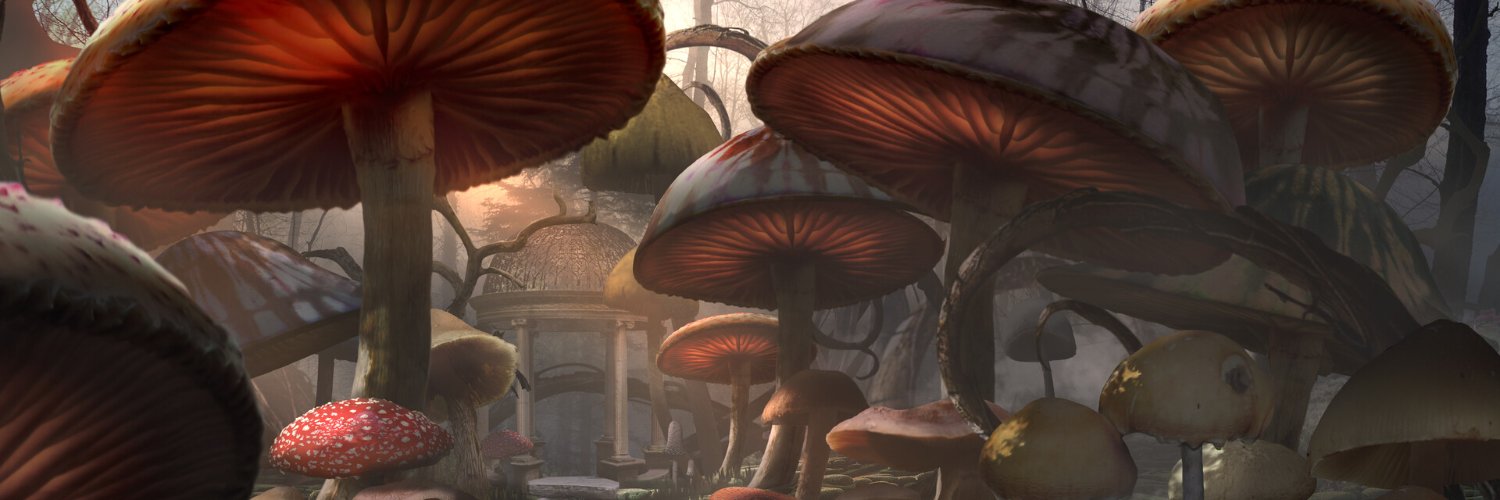 WildBloomer_'s profile banner image