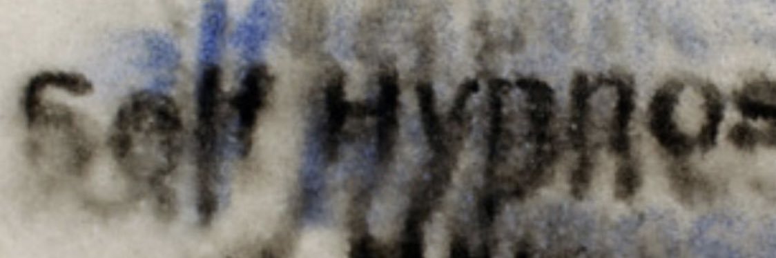 Francisco Ibañez banner