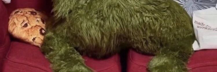 grustnyidzho's profile banner image
