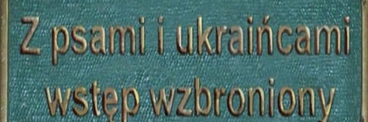 Летов и Арбалетов banner