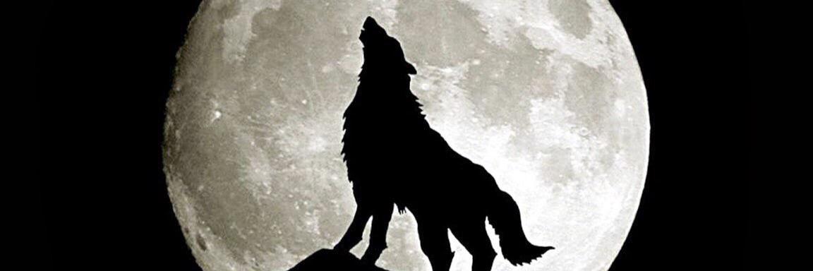 jaimebobkim's profile banner image
