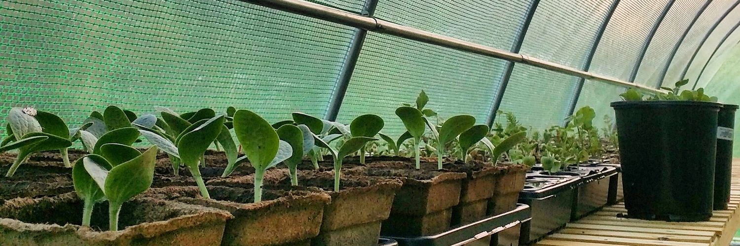 Dave Peterson banner